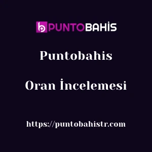 Puntobahis Oran İncelemesi